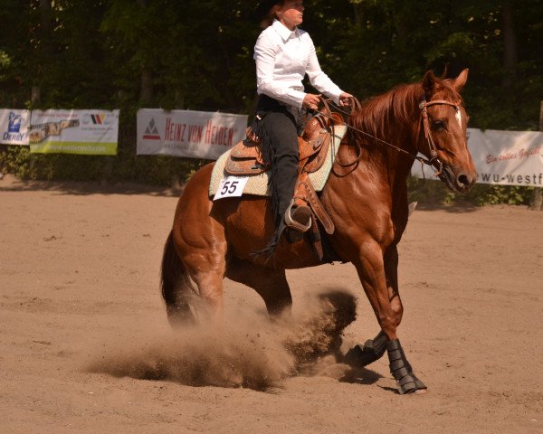 broodmare WB Chex Little Lena (Quarter Horse, 2009, from Tivios Tucker Check)