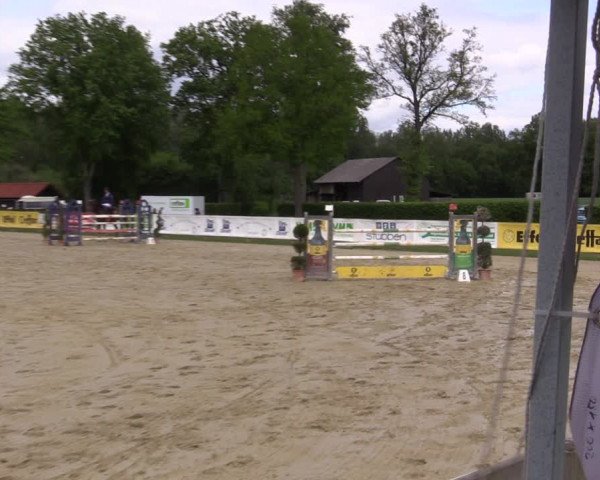 Reitturnier Münster-Handorf 2021