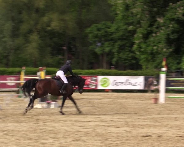 Reitturnier Münster-Handorf 2021