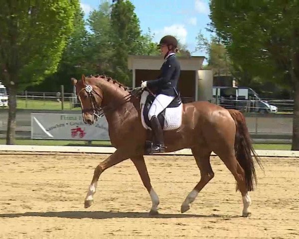 Reitturnier Aulendorf 2021