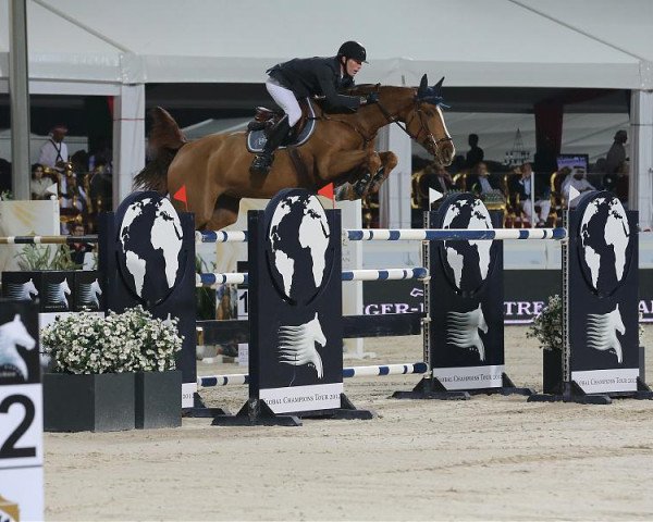 jumper Estoy Aqui de Muze H D C (Belgian Warmblood, 2004, from Malito de Reve)
