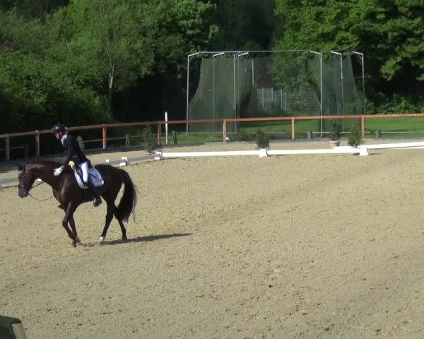 Reitturnier Leichlingen 2021