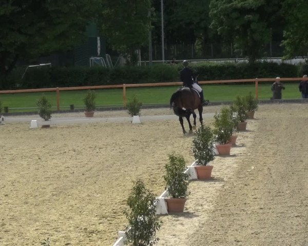 Reitturnier Leichlingen 2021