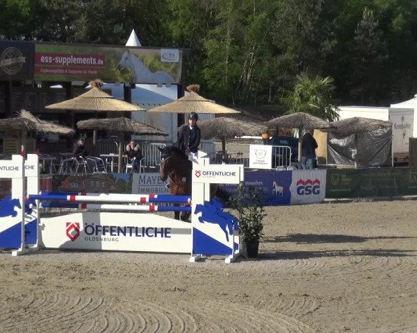 Reitturnier Rastede-Nethen 2021