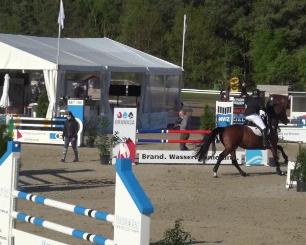 Reitturnier Rastede-Nethen 2021