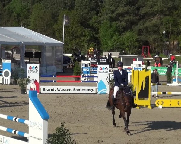 Reitturnier Rastede-Nethen 2021