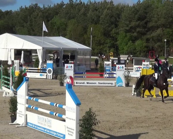 Reitturnier Rastede-Nethen 2021