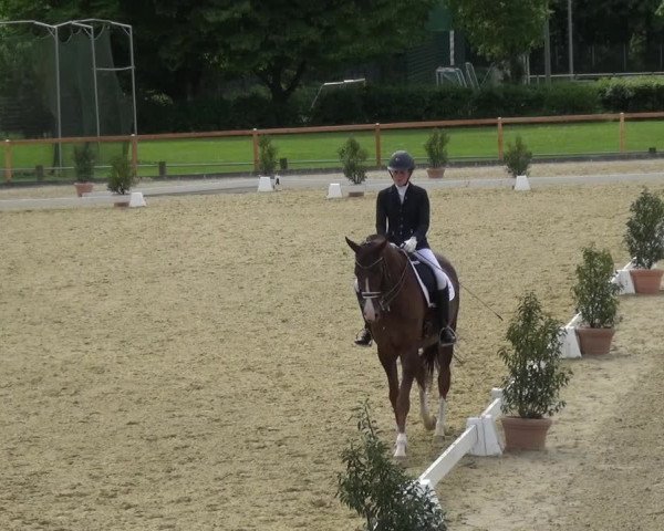 Reitturnier Leichlingen 2021