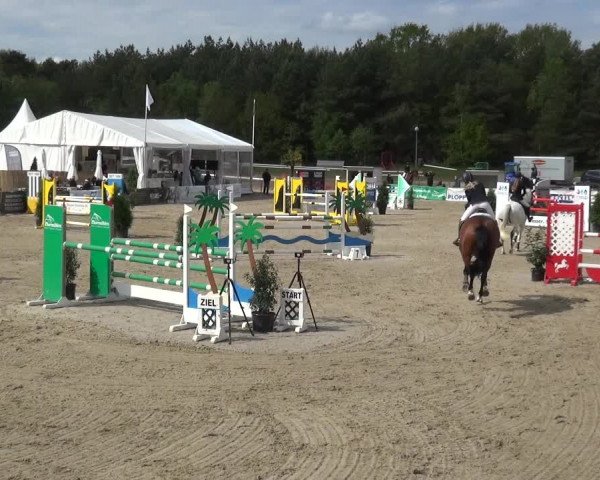 Reitturnier Rastede-Nethen 2021