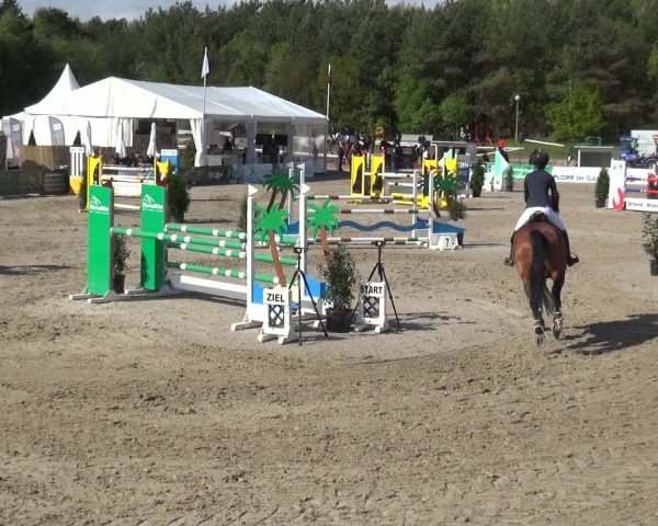 Reitturnier Rastede-Nethen 2021