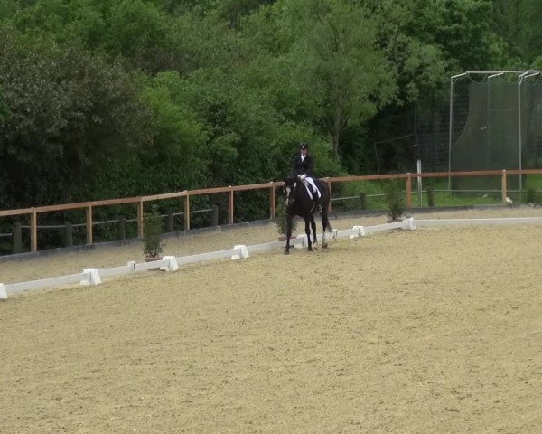Reitturnier Leichlingen 2021