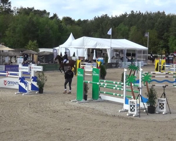 Reitturnier Rastede-Nethen 2021