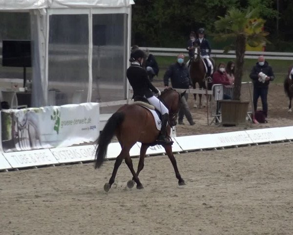 Reitturnier Rastede-Nethen 2021