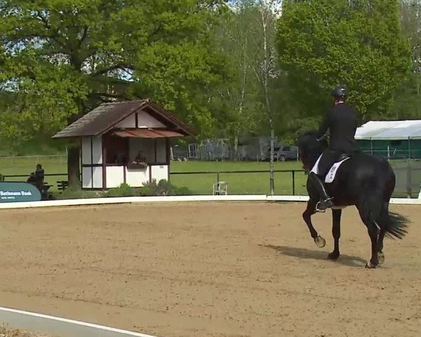 Reitturnier Aulendorf 2021