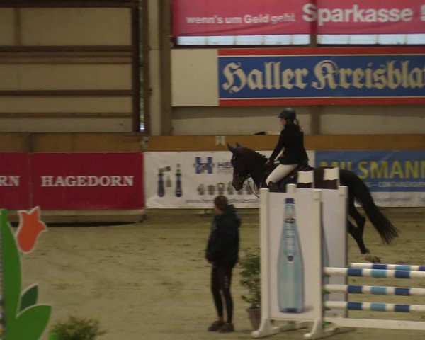 Steinhagen Classics 2021