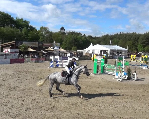 Reitturnier Rastede-Nethen 2021