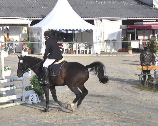 Reitturnier Neunkirchen-City 2021