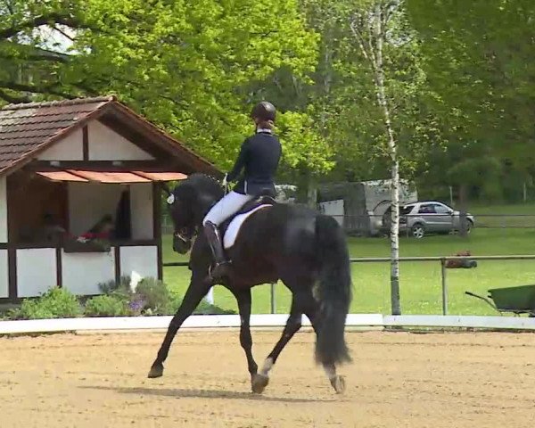 Reitturnier Aulendorf 2021