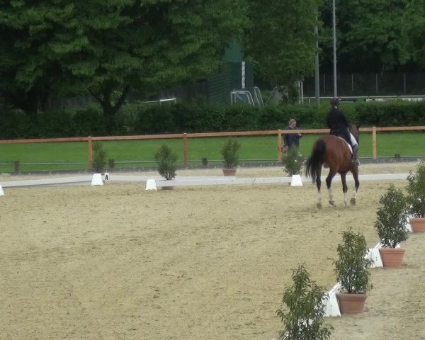 Reitturnier Leichlingen 2021