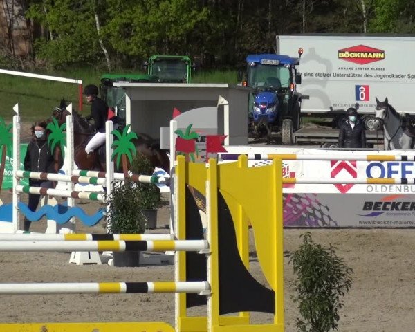 Reitturnier Rastede-Nethen 2021