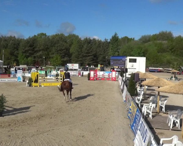Reitturnier Rastede-Nethen 2021
