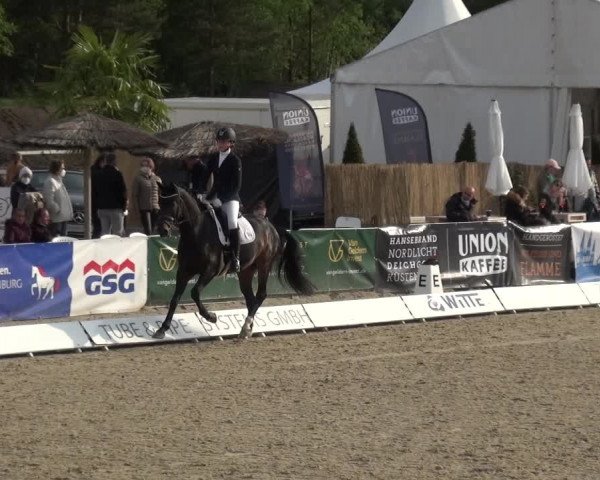 Reitturnier Rastede-Nethen 2021