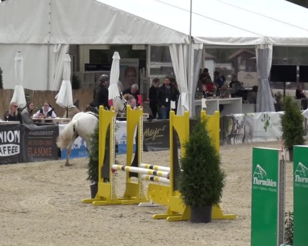 Reitturnier Rastede-Nethen 2021