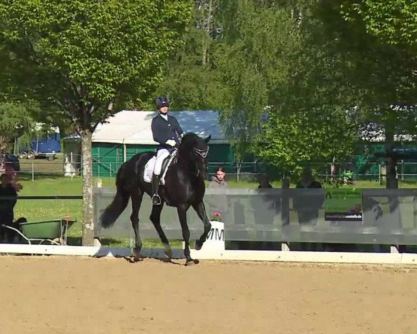 Reitturnier Aulendorf 2021