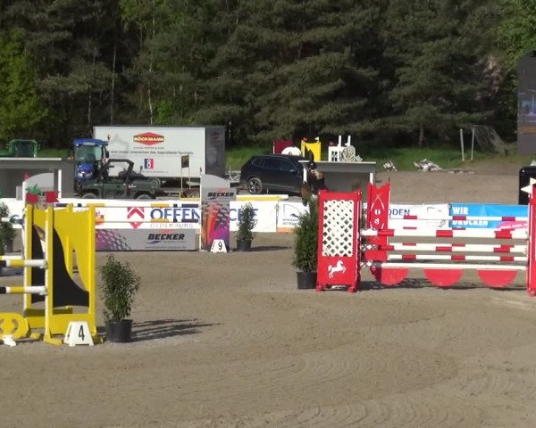 Reitturnier Rastede-Nethen 2021