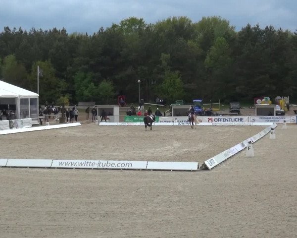 Reitturnier Rastede-Nethen 2021