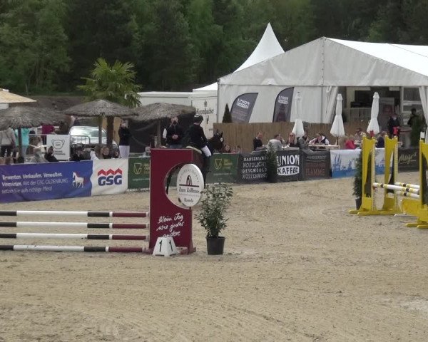 Reitturnier Rastede-Nethen 2021