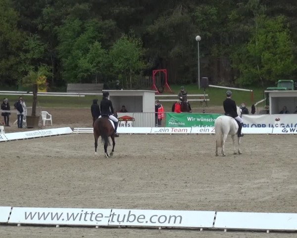 Reitturnier Rastede-Nethen 2021
