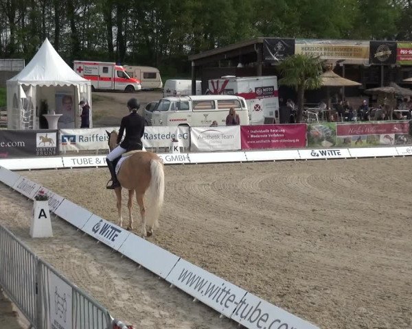 Reitturnier Rastede-Nethen 2021