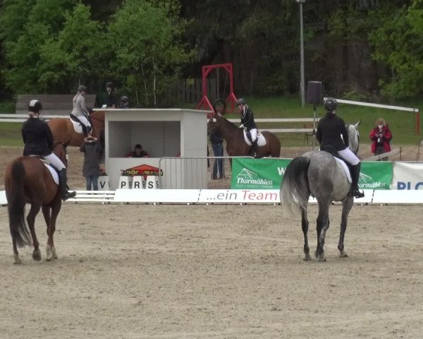 Reitturnier Rastede-Nethen 2021