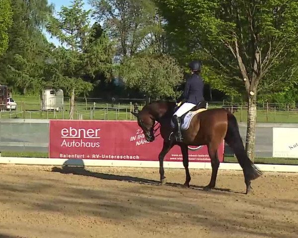 Reitturnier Aulendorf 2021