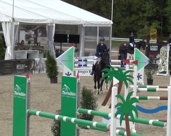 Torneo Equestre Rastede-Nethen 2021