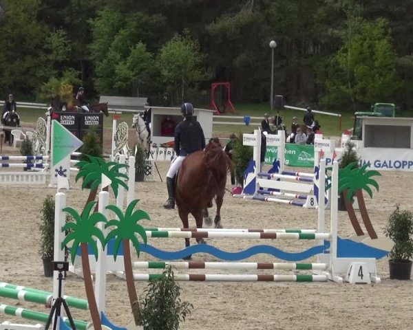 Reitturnier Rastede-Nethen 2021