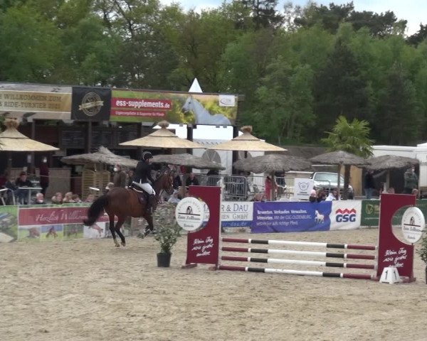 Reitturnier Rastede-Nethen 2021