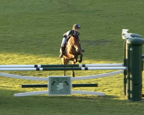 horse Kilcreene Apollo (unknown, 2003, from Rotherwood Fandango) horse Kilcreene Apollo (unknown, 2003, from Rotherwood Fandango)
