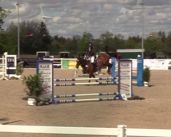Reitturnier Ladelund 2021