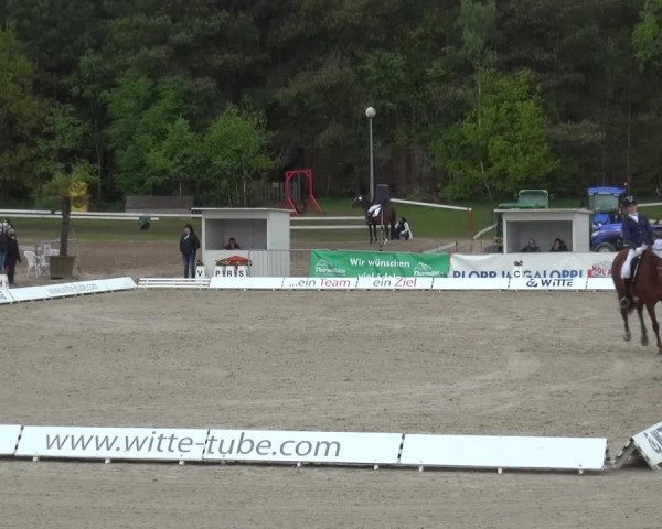 Reitturnier Rastede-Nethen 2021