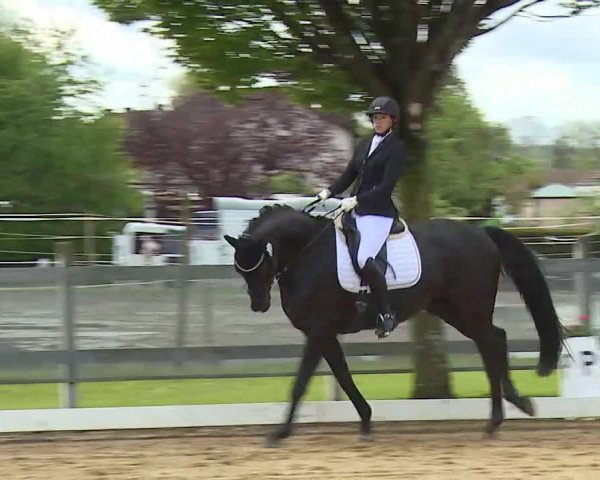 Reitturnier Aulendorf 2021