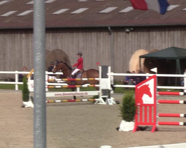 Reitturnier Ladelund 2021