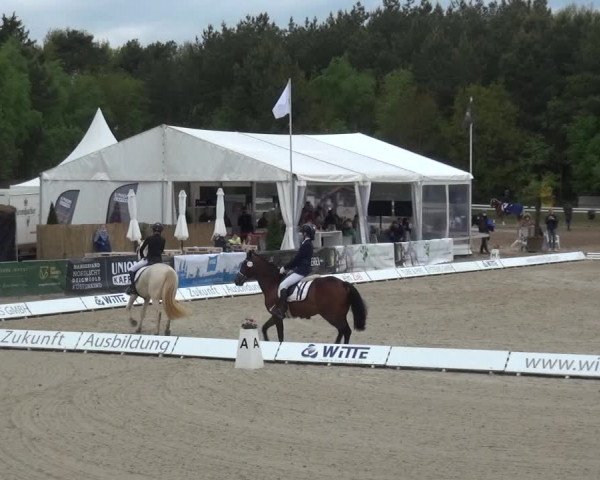 Reitturnier Rastede-Nethen 2021