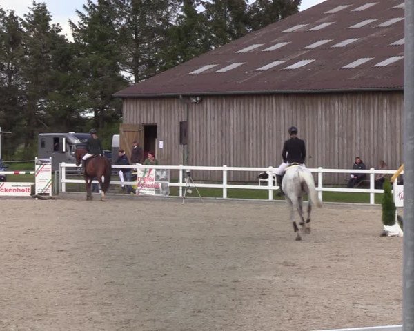 Reitturnier Ladelund 2021