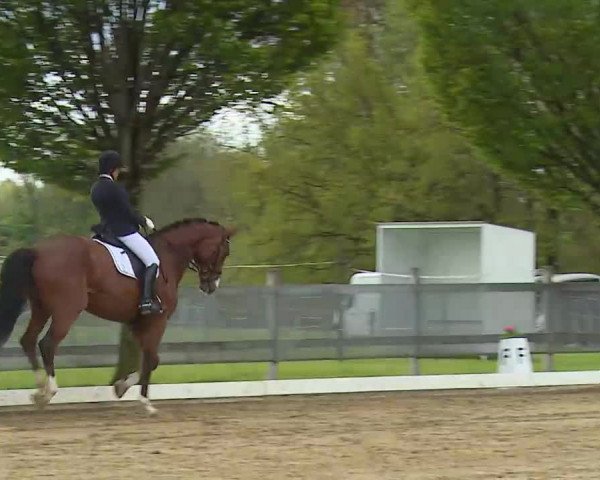 Reitturnier Aulendorf 2021