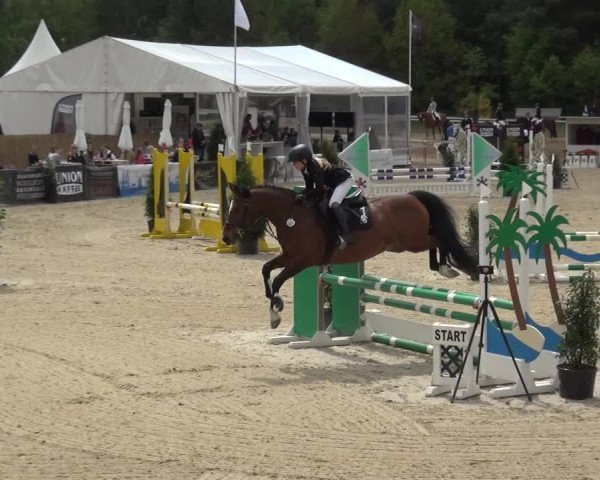 Reitturnier Rastede-Nethen 2021