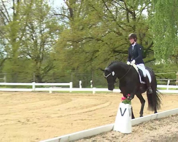 Reitturnier Aulendorf 2021