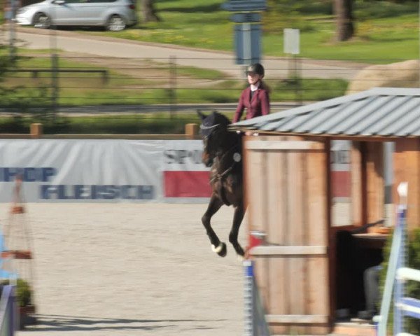 Reitturnier Westergellersen 2021