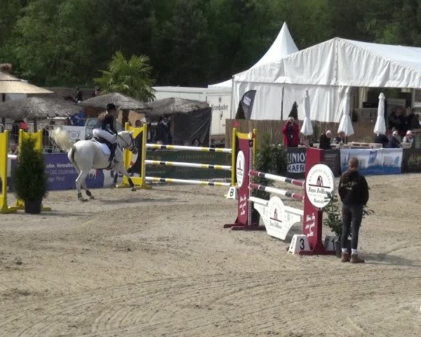 Reitturnier Rastede-Nethen 2021